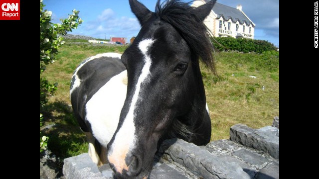 <strong>County Galway: </strong>Inishmore is rugged and you can walk straight out to the cliffs of Dun Aengus fort. "All of the island inhabitants are friendly, including a curious horse," <a href='http://ift.tt/OmsmTB'>Laura Dellal</a> said.