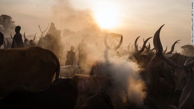South Sudanese people from the Dinka ethnic group stand among cattle at a cattle camp in Yirol, South Sudan, on Wednesday, February 12. 
