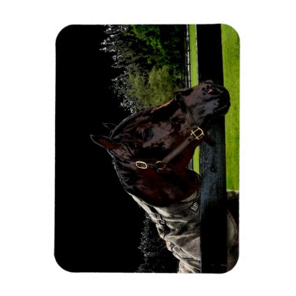 horse over fence side view dark colors vinyl magnets