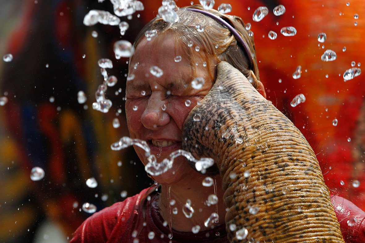 A tourist reacts as an elephant sprays her with water in celebration of the Songkran water festival in Thailand's Ayutthaya province. Songkran marks the start of Thailand's New Year