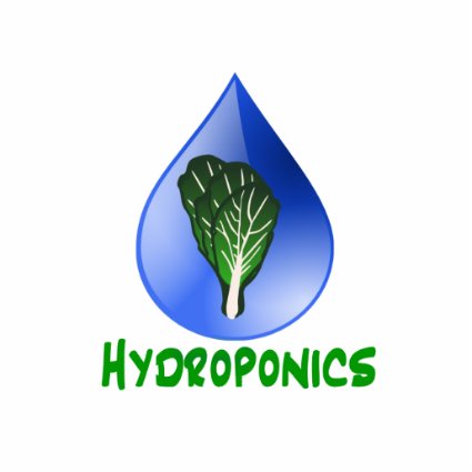 Hydroponics, water drop and lettuce Green text Photo Sculptures