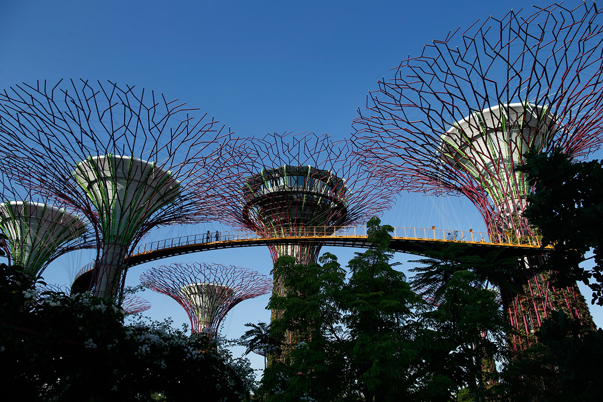 Visitors walk along an elevated walkway connecting giant concrete tree-like structures called Supertrees at Gardens by the Bay in Singapore
