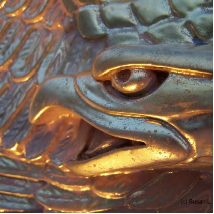 Golden eagle sculpture close up acrylic cut outs