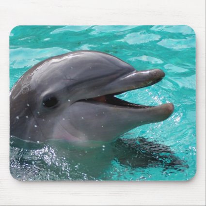 Dolphin head in aquamarine water mousepads