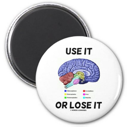 Use It Or Lose It (Brain Anatomy Humor Saying) Refrigerator Magnet