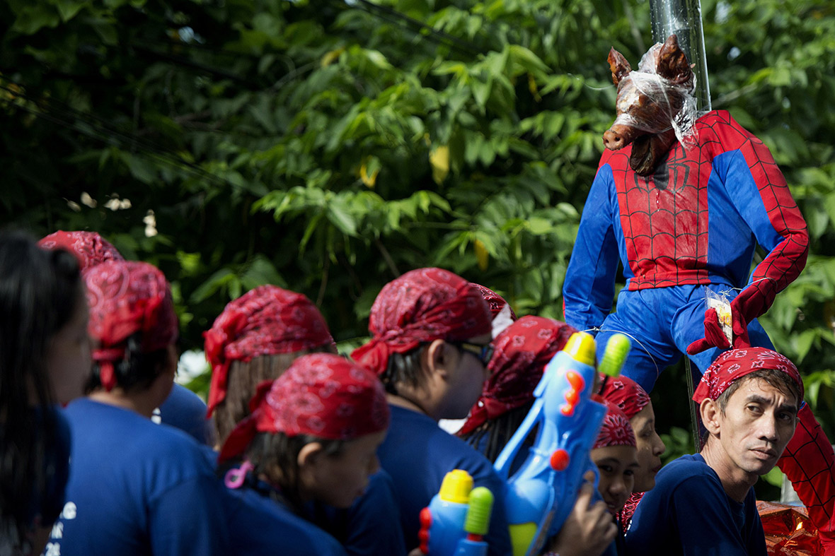 A roasted pig dressed as Spider-man is paraded through the streets in Balayan to celebrate the feast of St John the Baptist