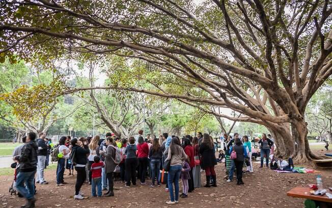 Piquenique reúne crianças autistas e familiares no Parque Ibirapuera, em São Paulo