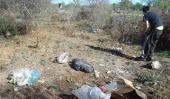 LIMPIEZA. Los vecinos limpiaron los márgenes del río de Los Sauces (Gentileza ONG Prevenir).