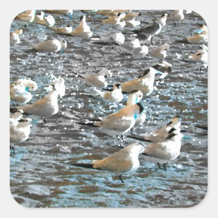 seagull beach birds painted blue theme florida square stickers