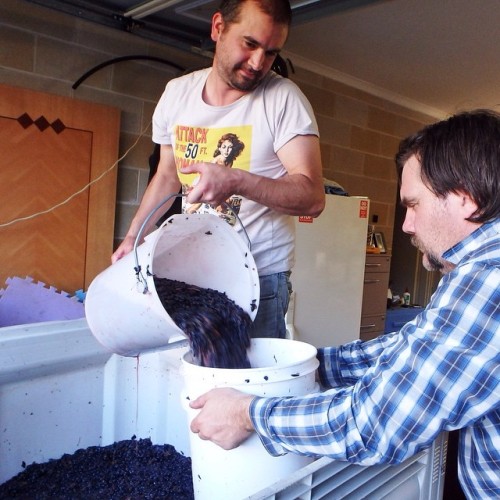 Reflection on Yesterday’s Cabernet Pick by Paul Kaan