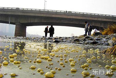 Sungai Yellow di Lanzhou, China