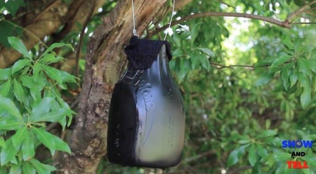 Hanging Mosquito Trap | DIY Mosquito Trap Ideas, see more at: http://ift.tt/1TZZuMV
