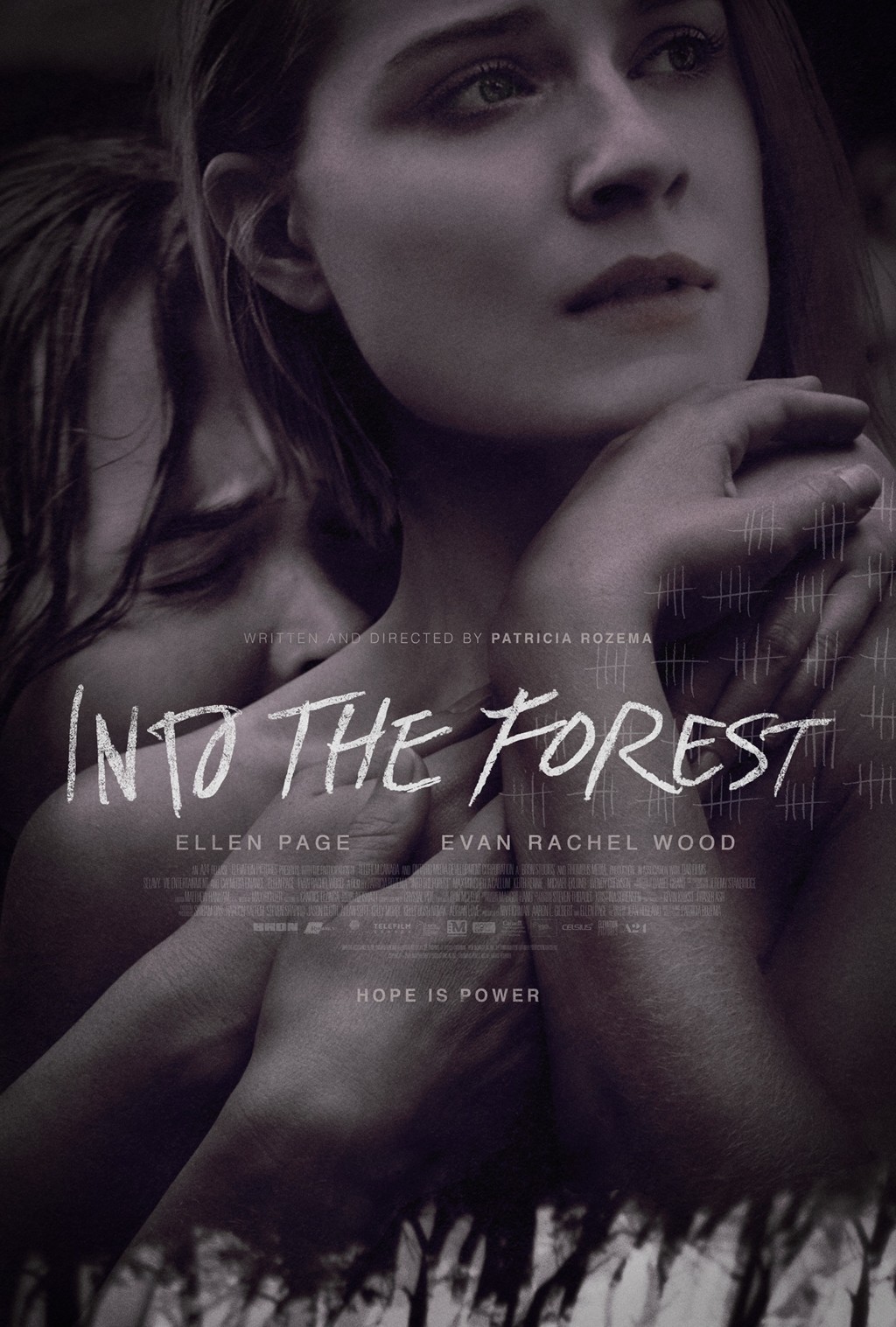 Into The Forest Cartel
