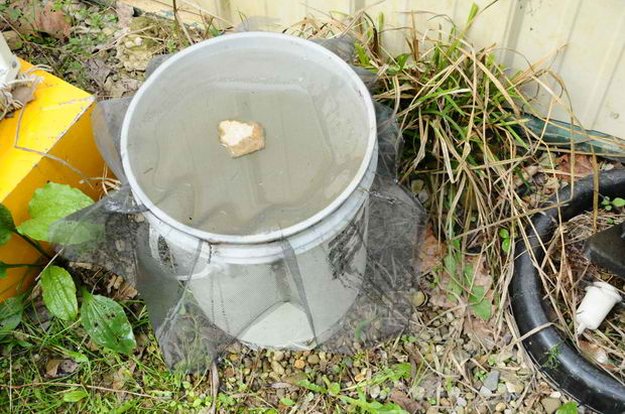 Abortion Trap | DIY Mosquito Trap Ideas, see more at: http://ift.tt/1TZZuMV