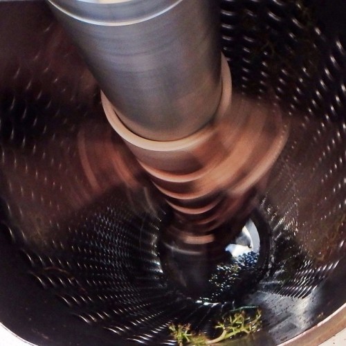 Down the guts of the Crusher as the Cabernet makes it’s way through by Paul Kaan