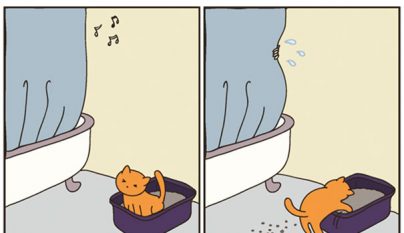Comic gato10