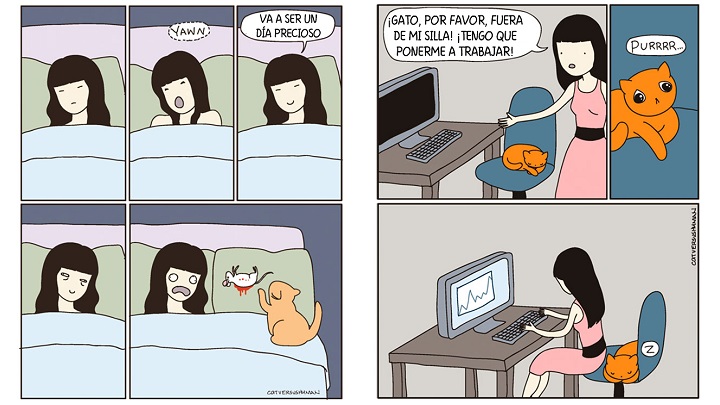 Comic realidad gato