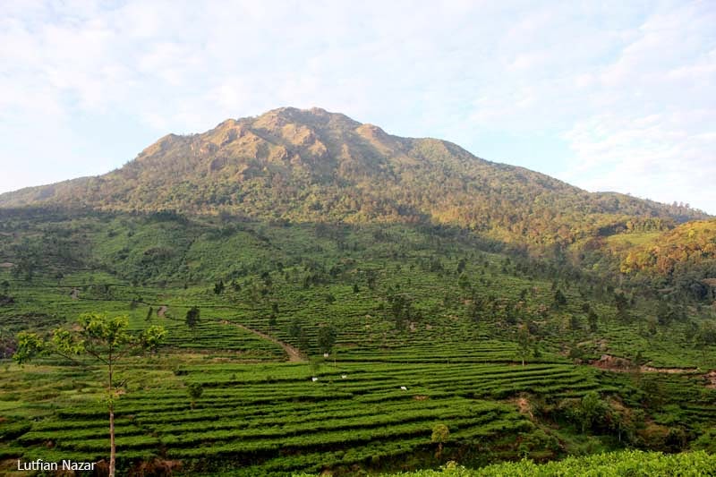 Gunung Ungaran, Jawa Tengah